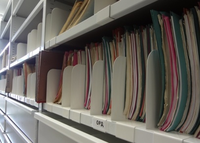 Стеллажи с подвижными ячейками для документов и личных дел